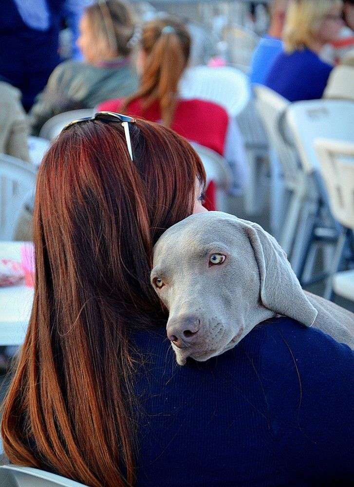 Photograph by Зинаида Фадеева