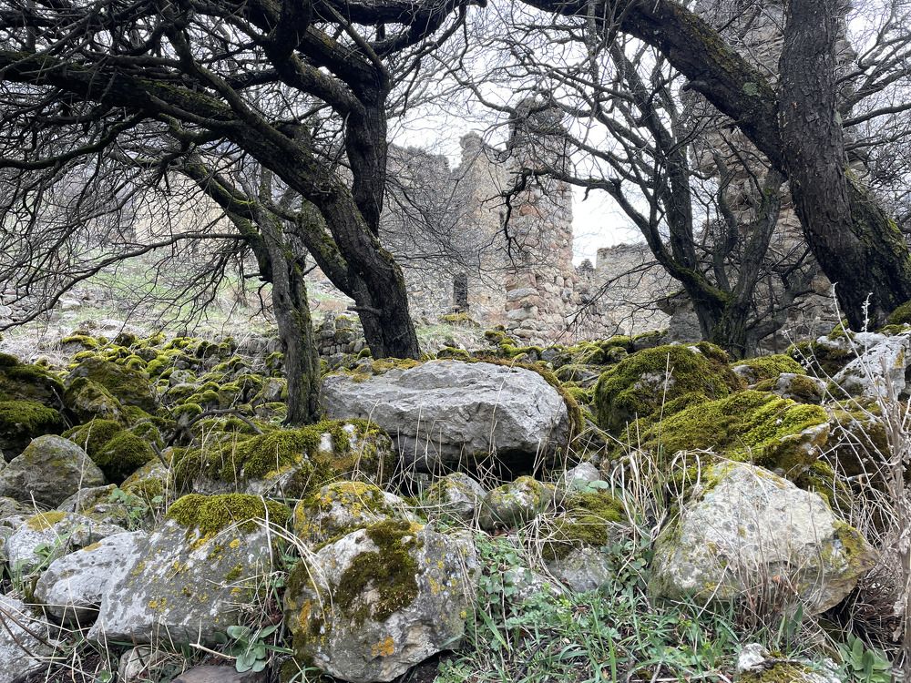 Photograph by Татьяна