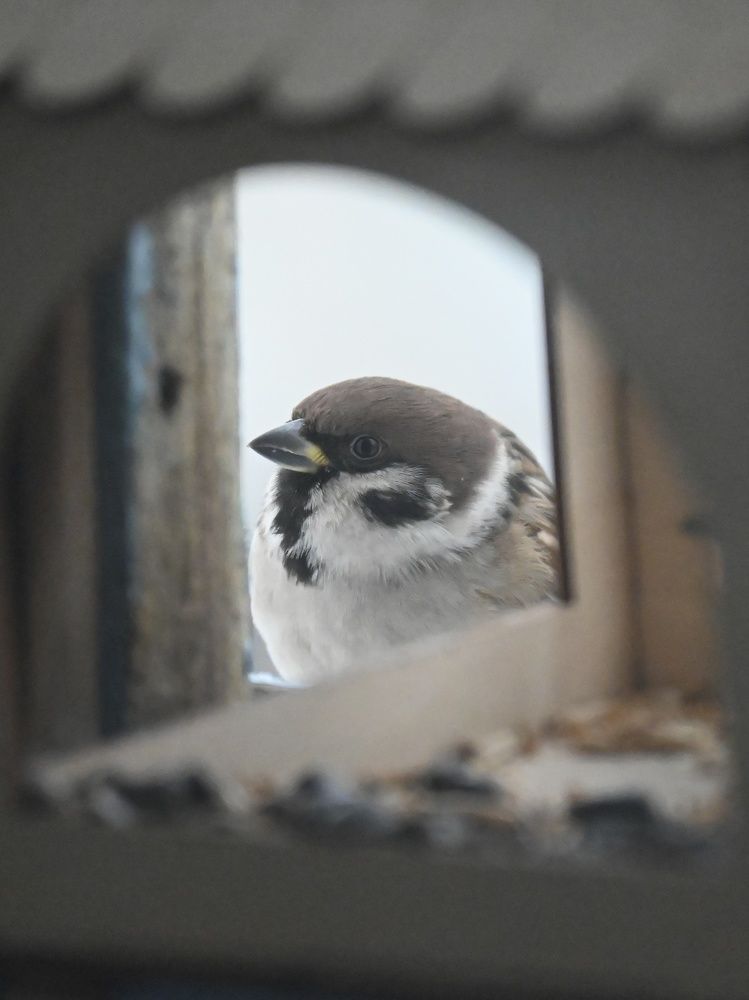 Фотография автора Olga Shchetinina