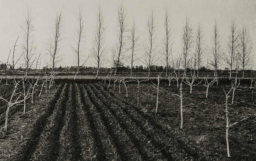 Photograph by Сергей Скопинцев