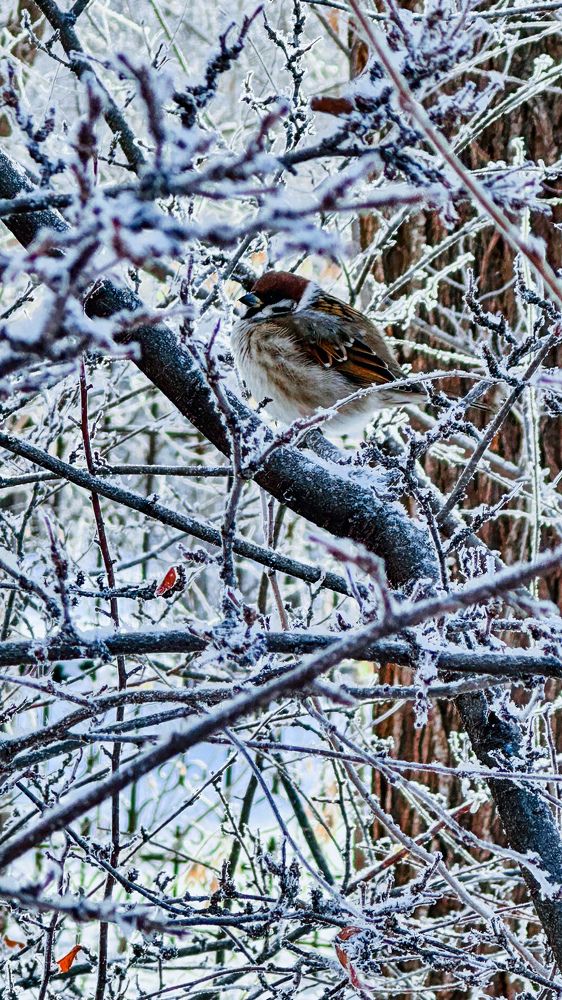 Photograph by Татьяна Галаева