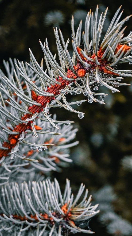 Фотография автора Иван Мисько