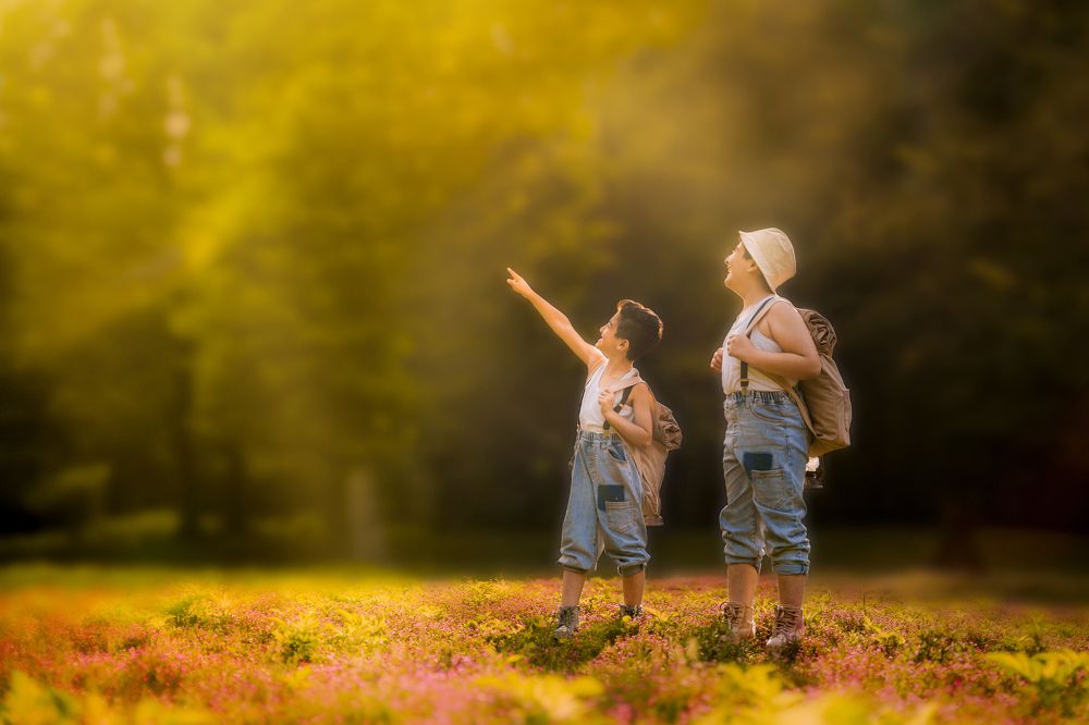 Фотография автора Mohammad Haghani Rostami