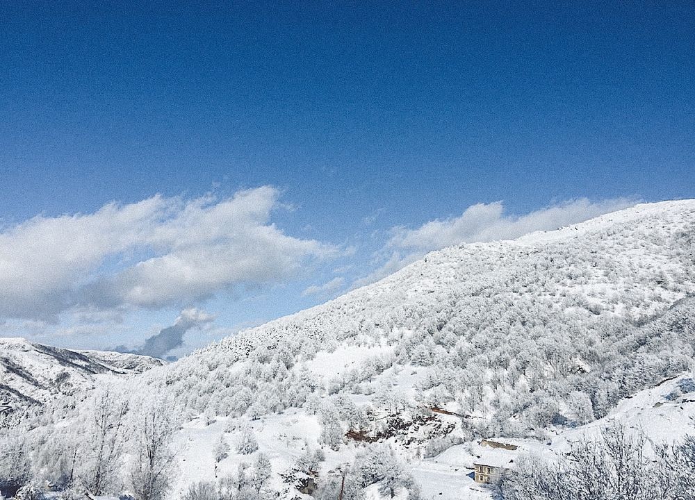 Photograph by Соколова Виктория