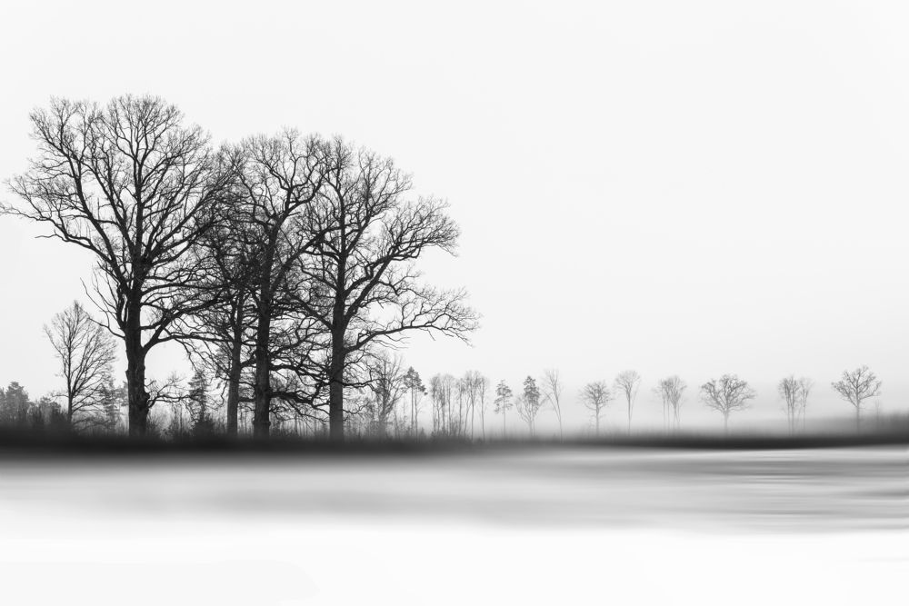 Photograph by Владимир Ликман