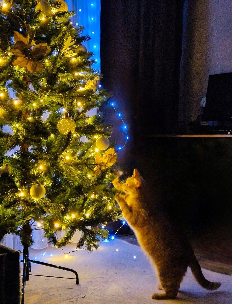 Photograph by Дарья Клименко