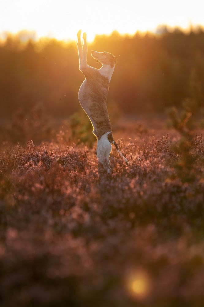 Photograph by Елена Якусева