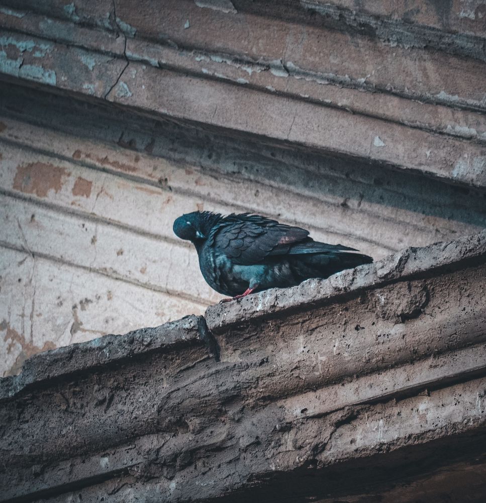 Photograph by Катерина Сорокина