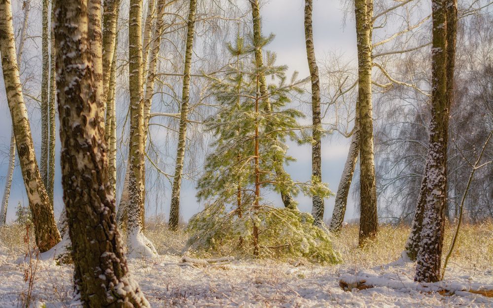 Photograph by Сергей Дишук