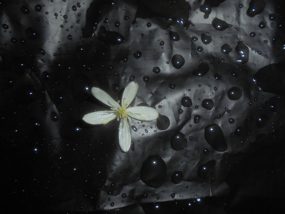 Photograph by Лилия Исхакова