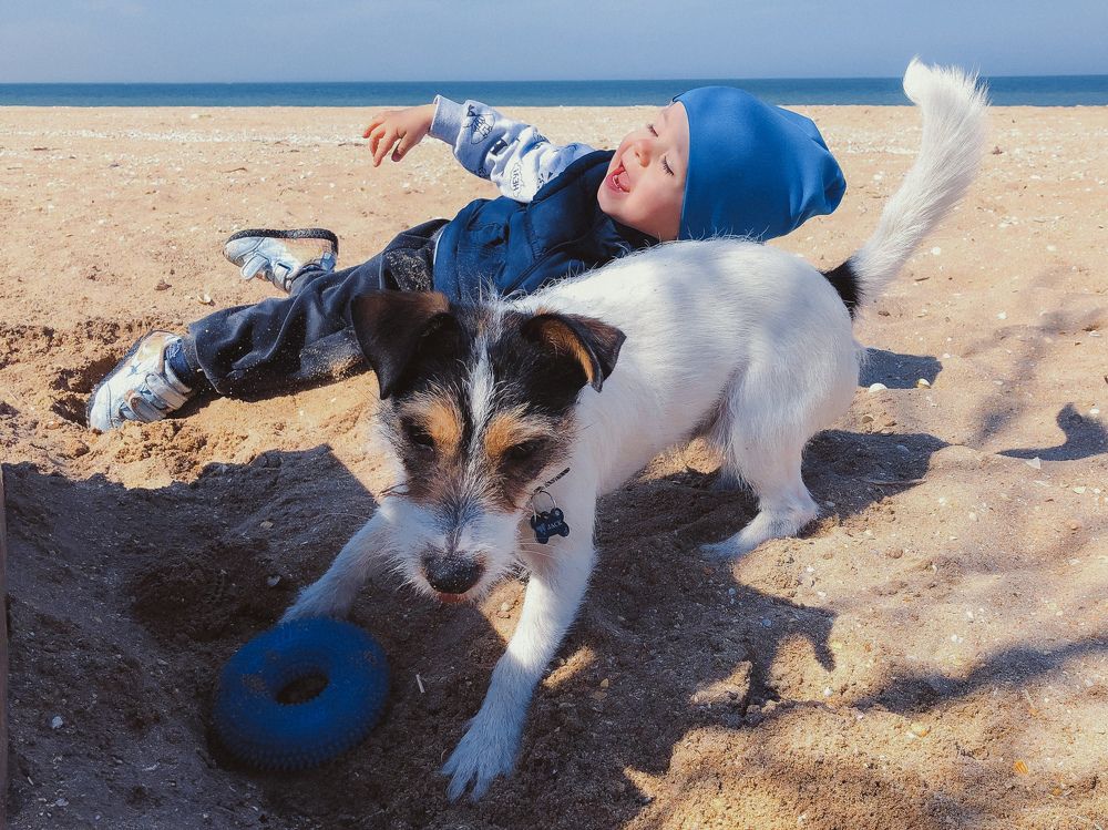 Photograph by Соколова Виктория