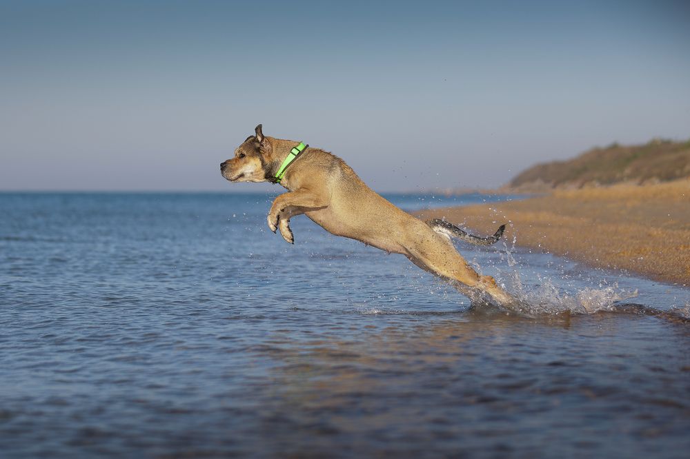 Photograph by Яна Карамышева