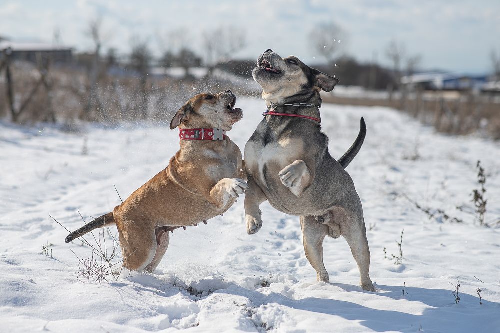 Photograph by Яна Карамышева