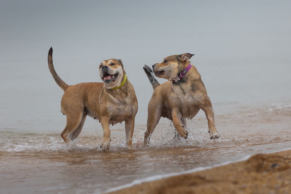 Photograph by Яна Карамышева