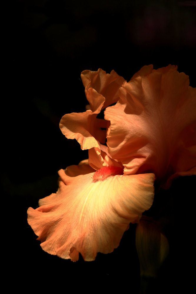 Фотография автора Светлана Долотова