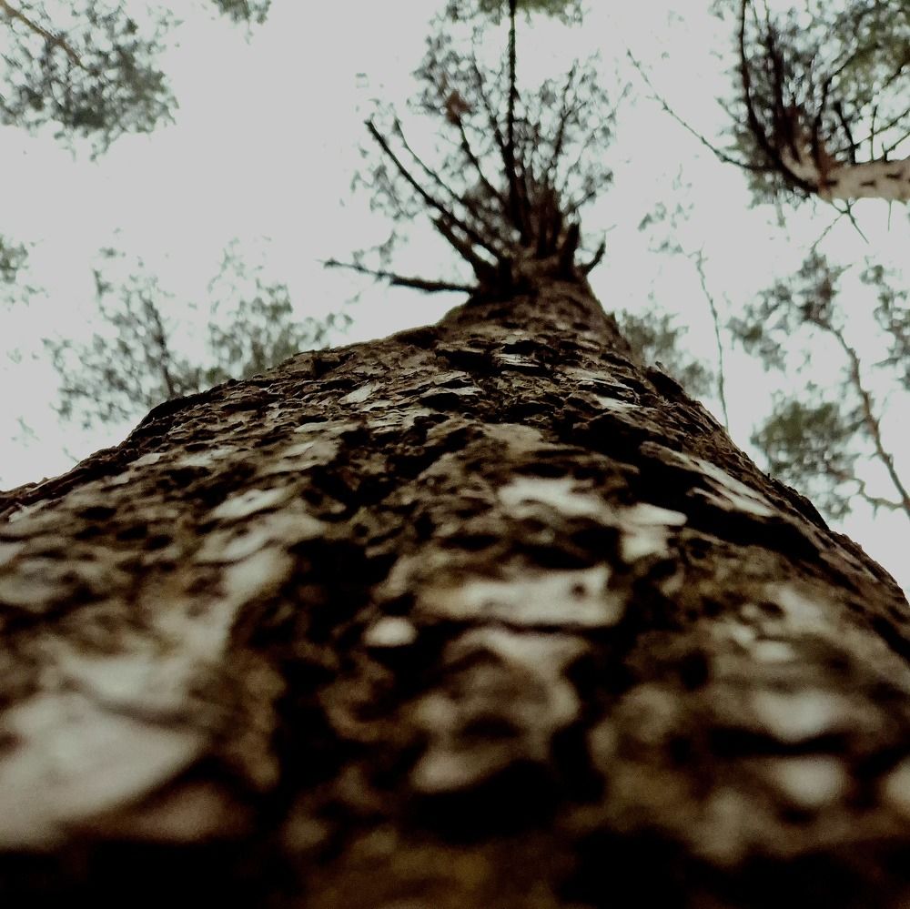 Photograph by Нина Старкова