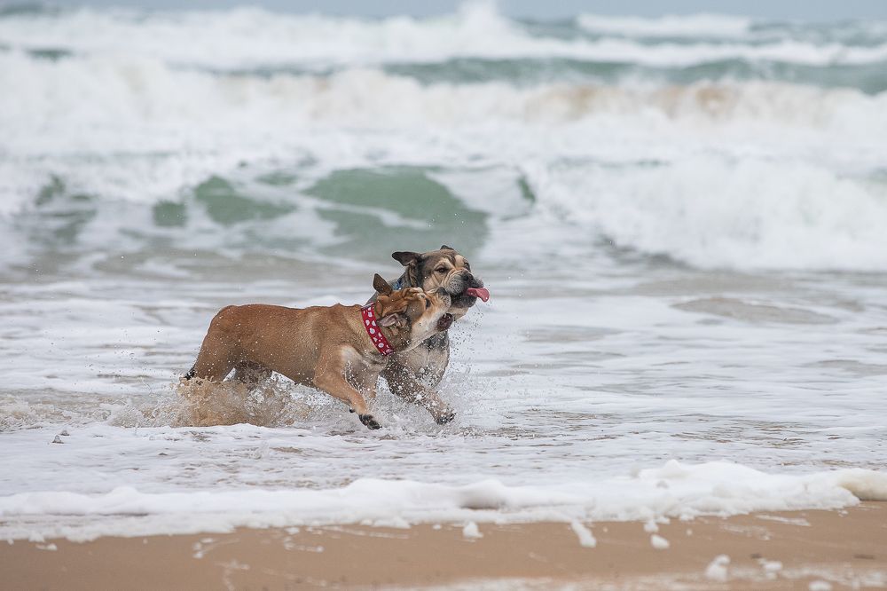 Photograph by Яна Карамышева