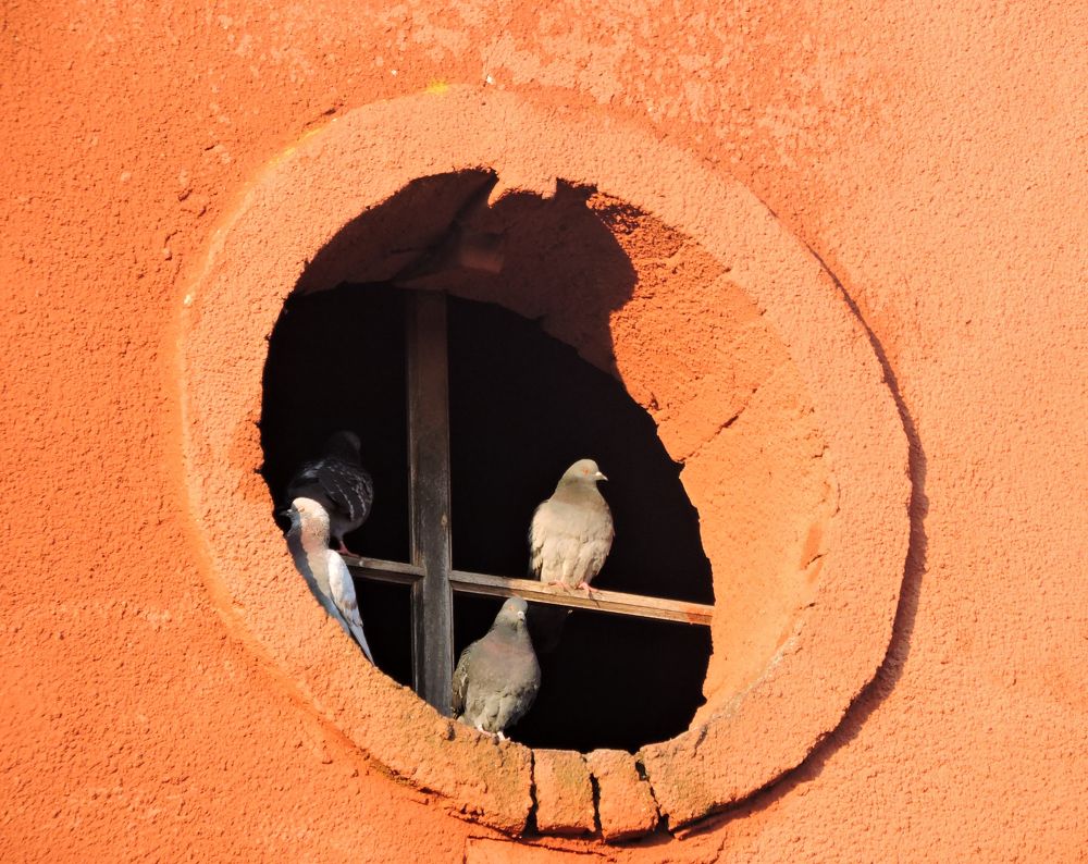 В круге / In a circle