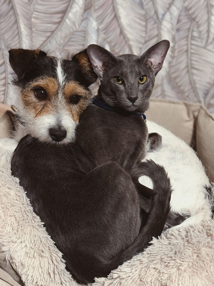 Photograph by Соколова Виктория