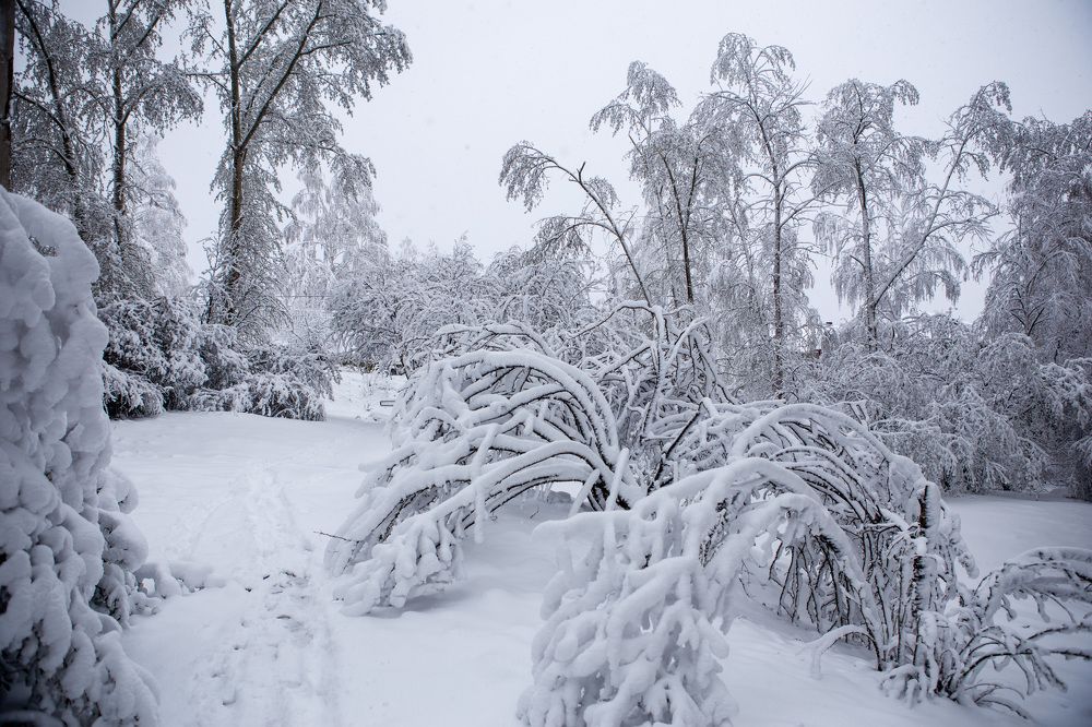 Photograph by Любовь Рощина