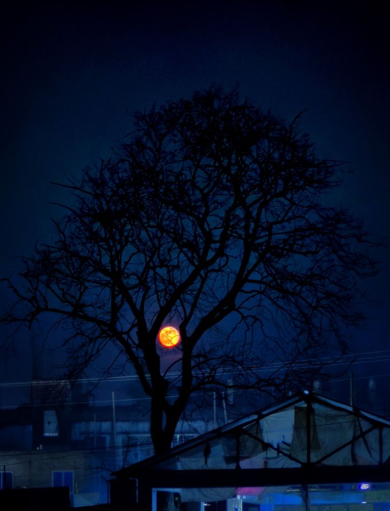 Photograph by EMRAN HOSSAIN