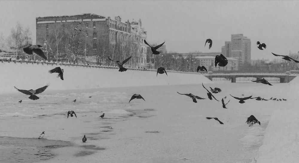 Photograph by Светлана Мельник