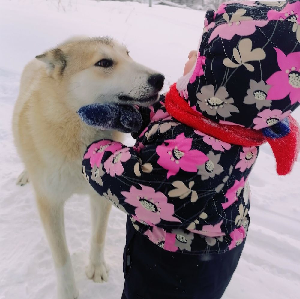 Photograph by Татьяна Бешенкина