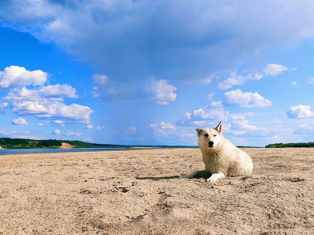 Photograph by Татьяна Бешенкина