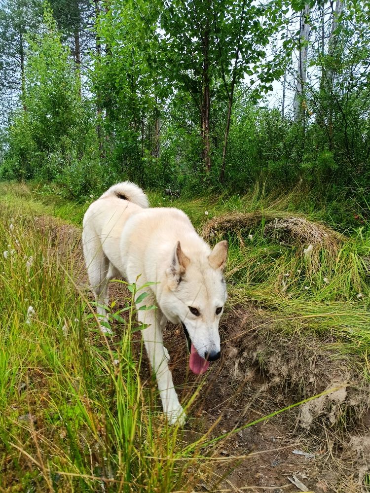 Photograph by Татьяна Бешенкина