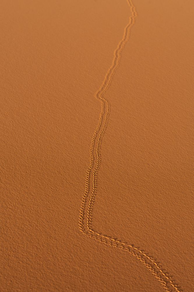 Фотография автора Светлана Зимина