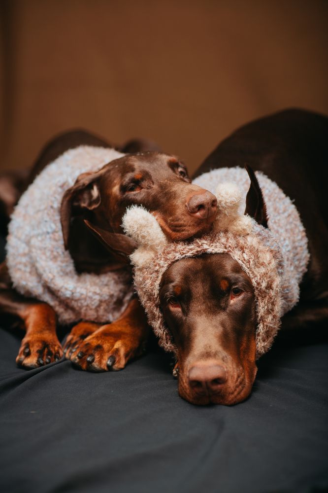 Photograph by Мария Клещенко