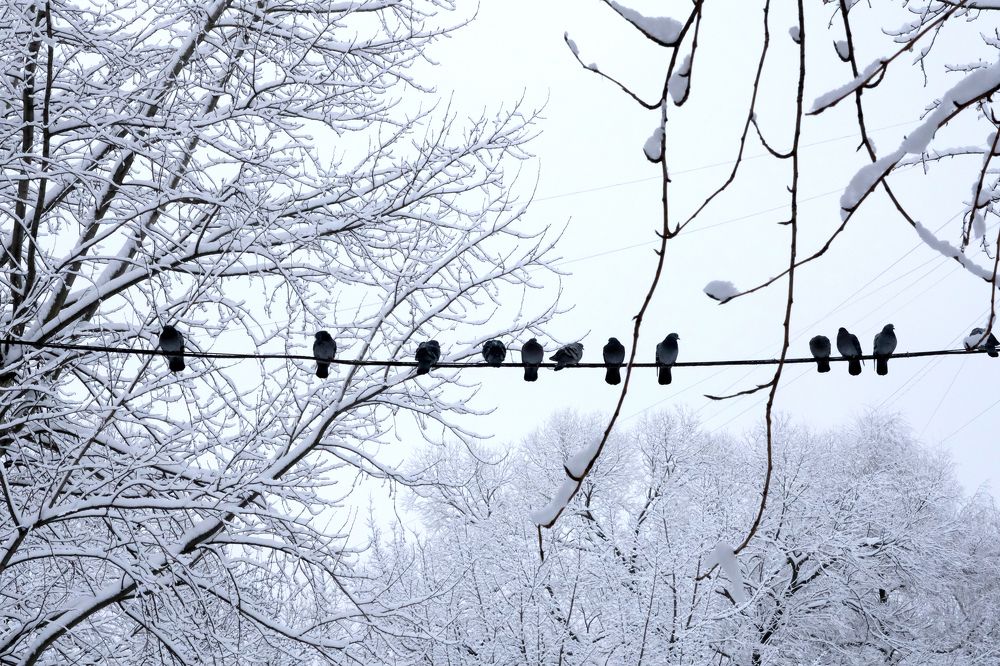 Photograph by Александр Малышев