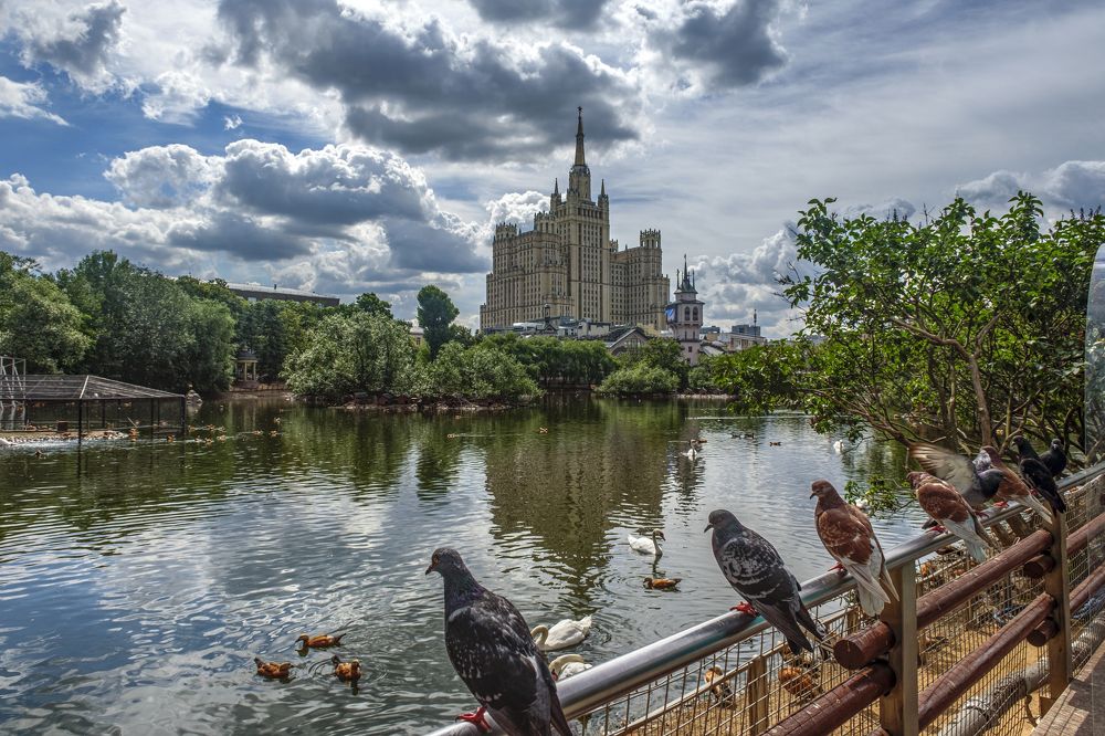 Photograph by Александр Малышев