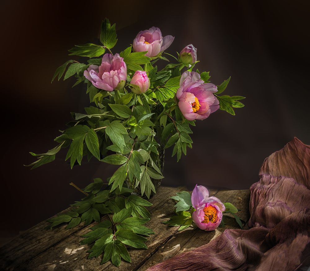 Фотография автора Milena Ivanova