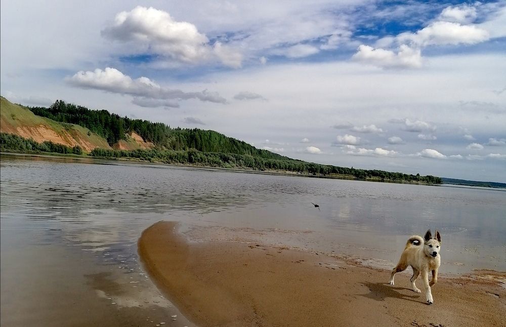 Photograph by Татьяна Бешенкина