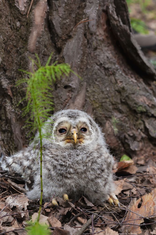 Photograph by Екатерина Бакулина