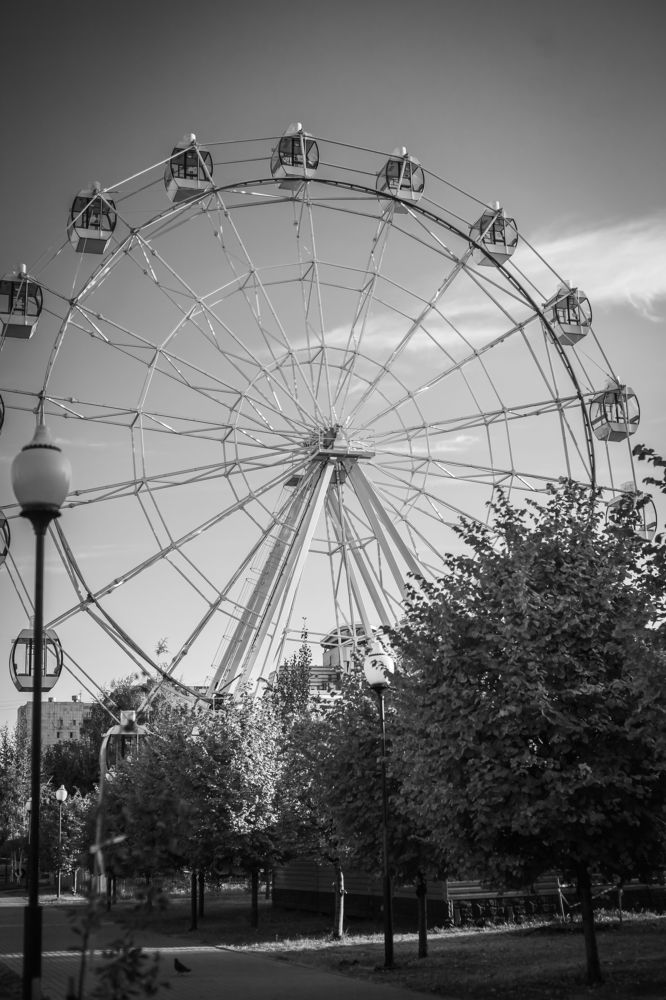 Photograph by Анопченко Ирина