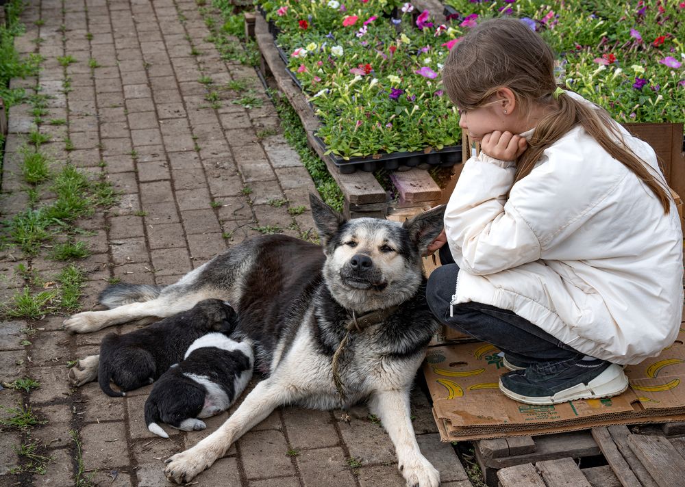 Photograph by Ольга Дерябина