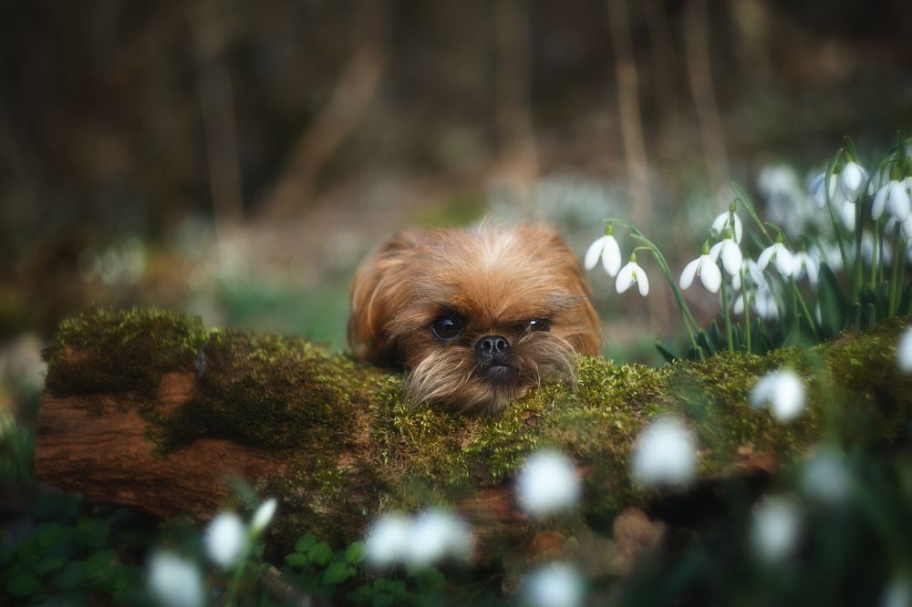 Photograph by Ирина Корх