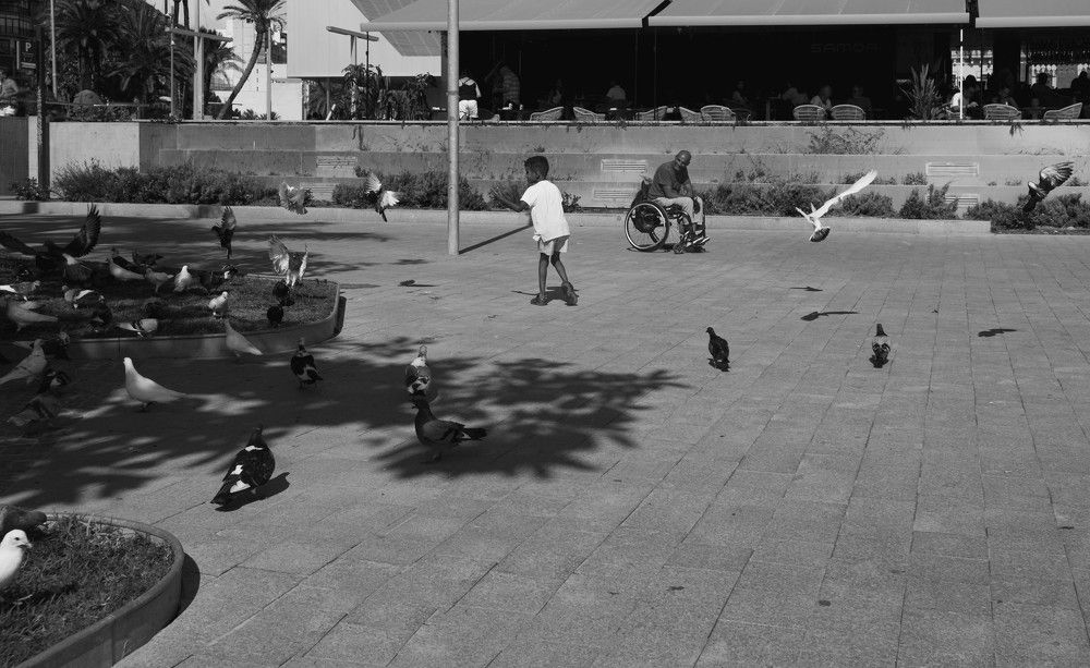 Photograph by Francisco Mira