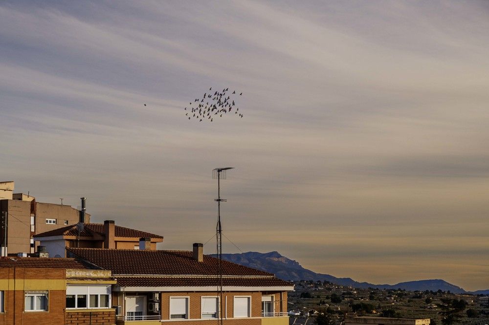 Photograph by Francisco Mira