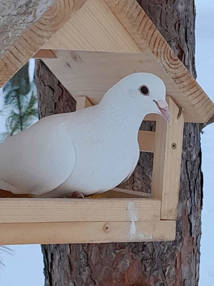 Photograph by Виталий Глазачев