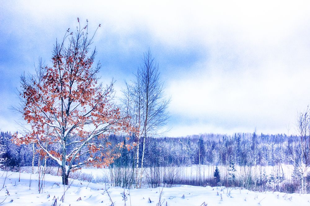 Photograph by Анна