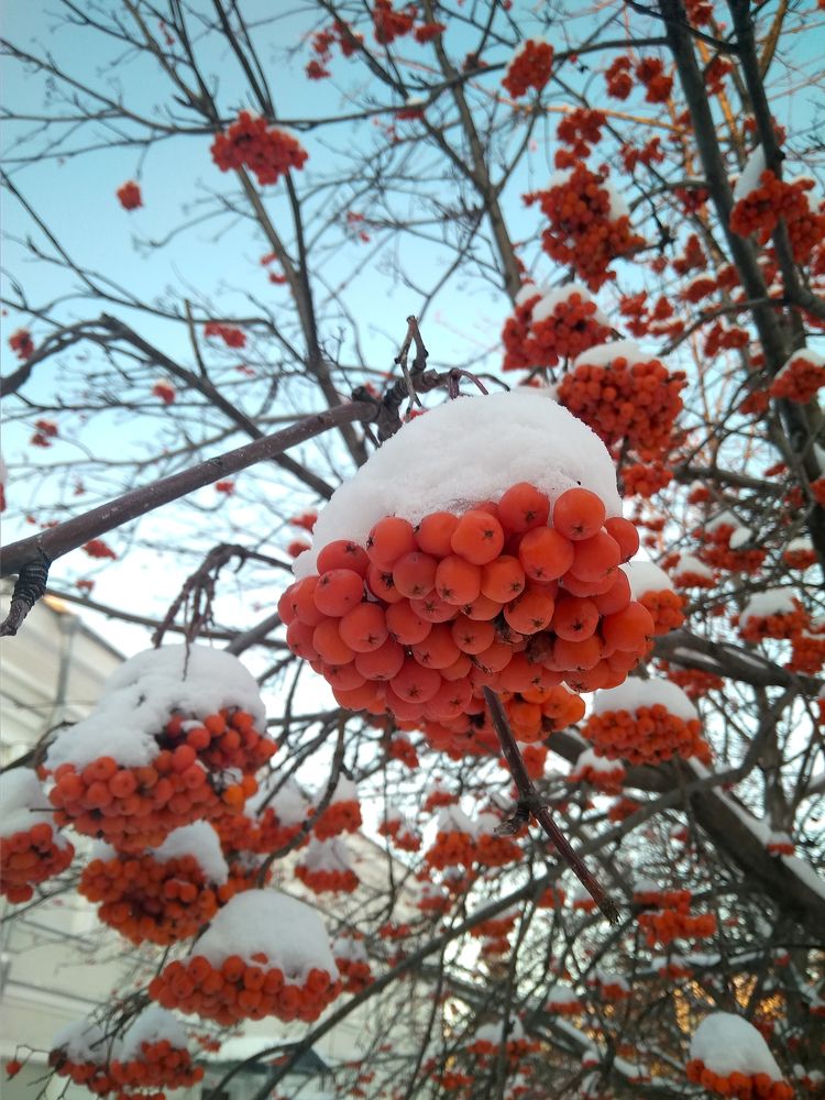 Photograph by Leyla Minnullina