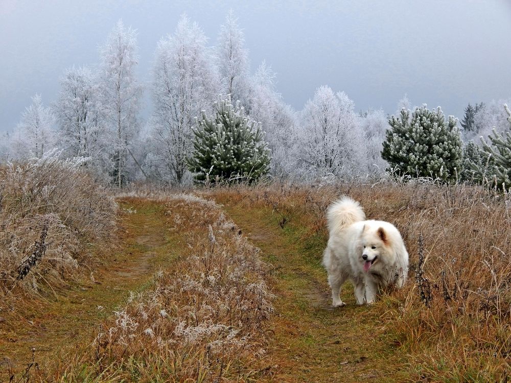 Photograph by Юрий Пучков