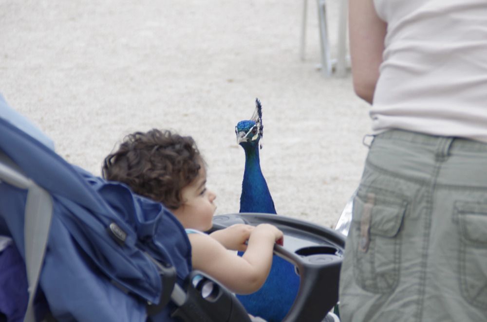 Photograph by Наталья Шумилова