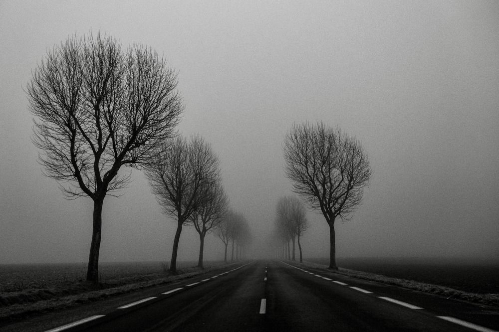 Фотография автора Emi D