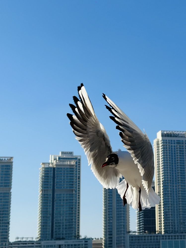 Photograph by Irina Kolotova