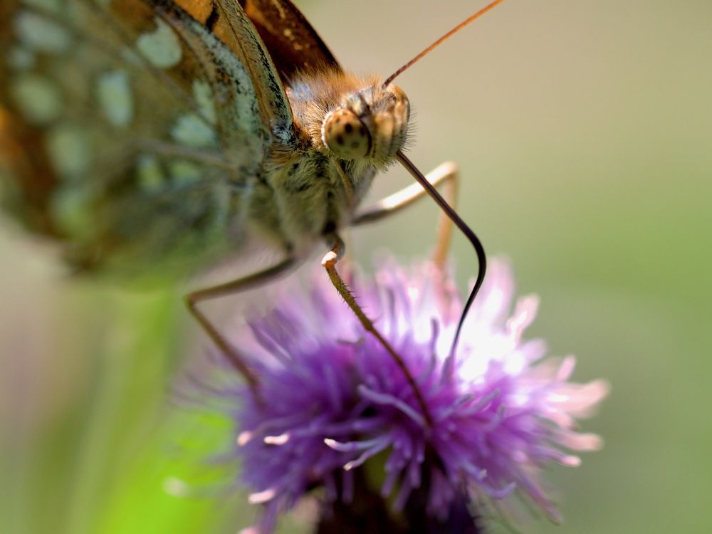 Photograph by Артем Харисов