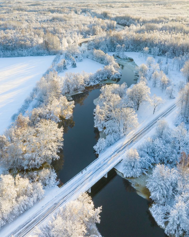 Photograph by Nikolai Mordan